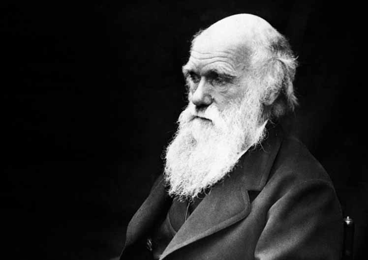 Darwin described the theory of evolution