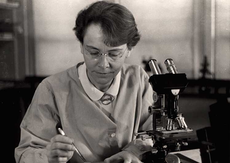 Barbara McClintock developed the technique of visualizing chromosomes
